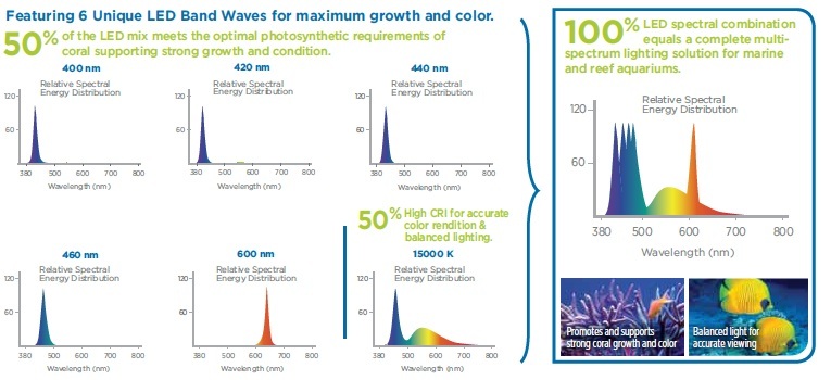 fluval sea performance led light m24 marine and reef marine led chart light