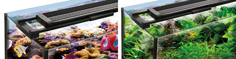product image header