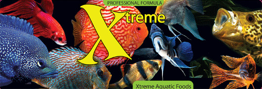 buy aquarium supplies and