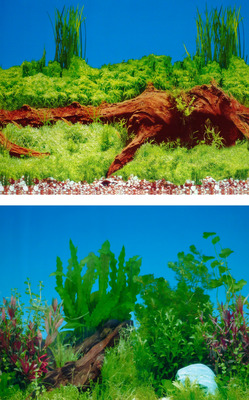 aquarium background adhesive