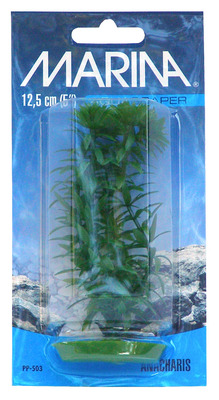 Marina Aquascaper Anacharis Aquarium Plant Small