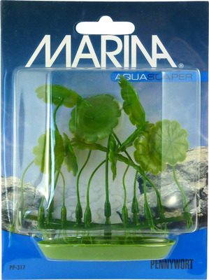 Marina Aquascaper Foreground Plant Aquarium Plant Pennywort