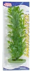Marina Aquascaper Hygrophila Aquarium Plant Large