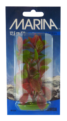Marina Aquascaper Red Ludwigia Aquarium Plant Small
