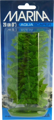 Marina Aquascaper Ambulia Aquarium Plant Medium