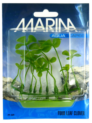 Marina Aquascaper Foreground Plant Aquarium Plant Four Leaf Clover
