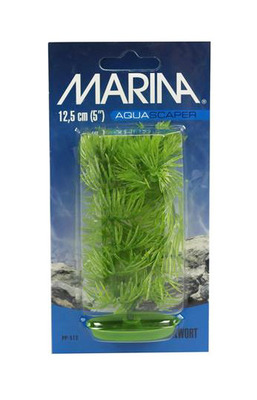 Marina Aquascaper Hornwort Aquarium Plant Small