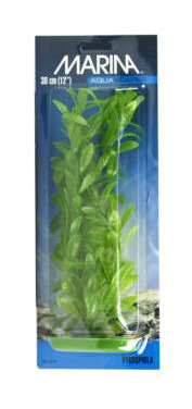 Marina Aquascaper Hygrophila Aquarium Plant Large