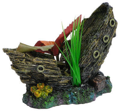 types of fishes in ocean. Marina Ocean Treasure Fish