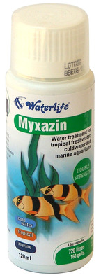 Waterlife Myxazin Broad Spectrum Fish Medication 120mL