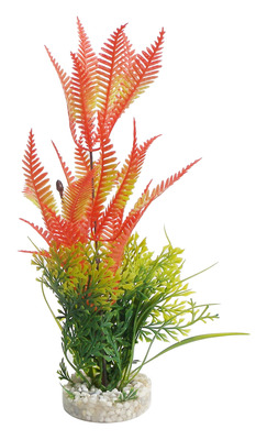 Sydeco Aquarium Plant Display with Colour Fern Medium 25cm