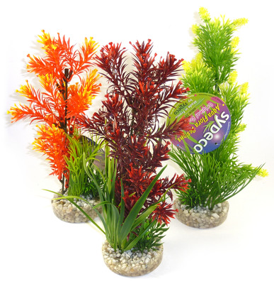Sydeco Colour Aquarium Plant Display Medium 25cm
