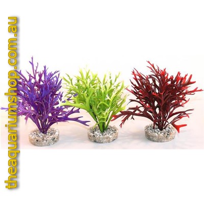 Sydeco Water Fern Aquarium Plant Medium - 15cm
