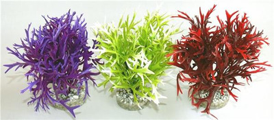 Sydeco Water Fern Aquarium Plant Large - 19cm