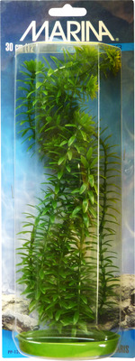Marina Aquascaper Anacharis Aquarium Plant Large