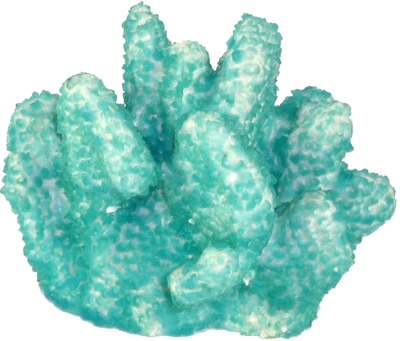 Coral Impressions Cats Paw Mini Blue