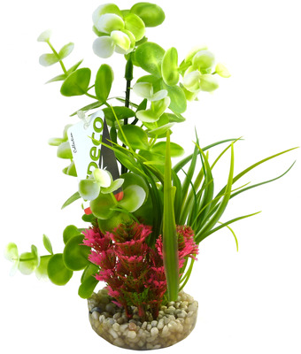 Sydeco Aquarium Plant Eucalyptus Bouquet Composition