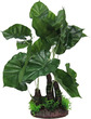 Aqua Dekore Giant Elephant Ear Plant Large
