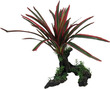 Aqua Dekore Red-Green Spinifex Medium