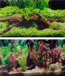 Aquarium Background Double Sided 12 Inch - Marine & Plants-Log