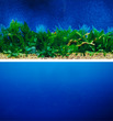Aquarium Background Double Sided 12 inch  - Blue & Plants