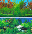 Aquarium Background Double Sided 30.5cm - Rocky Green and Lush Aquarium