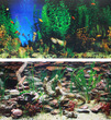 Aquarium Background Double Sided 12 inch - Aquarama & Shalescape
