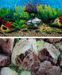 Aquarium Background Double Sided 19 Inch  - Hawaii Blue & Boulders