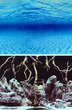 Seaview Aquarium Background Roll Double Sided 15.24 metres x 29.5cm - Deep Blue Seascape-Mystic River