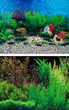 Aquarium Background Double Sided 60cm - Blue Hawaii and Sea Plant