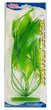 Aquascaper Amazon Sword Aquarium Plant Large