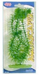 Aquascaper Anacharis Aquarium Plant Medium