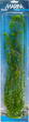 Aquascaper Anacharis Aquarium Plant Jumbo