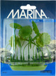 Marina Aquascaper Foreground Plant Aquarium Plant Pennywort