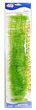 Marina Aquascaper Hornwort Aquarium Plant Jumbo