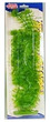Marina Aquascaper Hornwort Aquarium Plant Extra Large