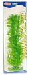 Marina Aquascaper Hygrophila Aquarium Plant Extra Large