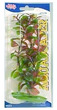 Marina Aquascaper Red Ludwigia Aquarium Plant Medium