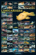 Azoo High Gloss Poster Loricariidae (L Number)
