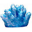 Coral Impressions Cats Paw Mini Blue
