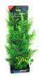 Deluxe Bunch Plant 22inch Ferns