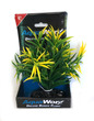 Deluxe Bunch Plant 6inch Green bush yellow tip