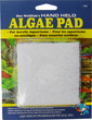 Doc Welfish's Hand Held Algae Cleaning Pad 