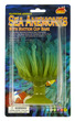 Torch Sea Anemone Blue-Green