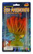 Torch Sea Anemone Orange-Green