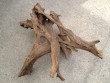 Malaysian Mangrove Root Aquarium Driftwood Extra Large