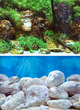Aquarium Backgrounds