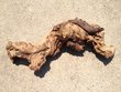 Mopani Aquarium Root Wood XLarge (4)