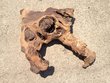 Mopani Aquarium Root Wood XLarge (5)