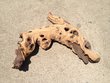 Mopani Aquarium Root Wood XXLarge (1)